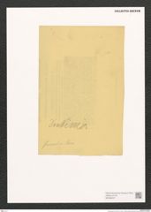 Pleurosigma sp. (de-Toni-Nr.: Genus 13) Zeichnungen Sammlung Grunow (NHMW-BOT-W0369227)